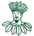 Công ty CP thực phẩm thiên nhiên King Green