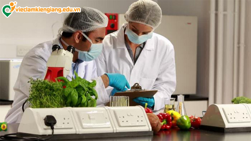 Công việc của kỹ sư công nghệ thực phẩm là gì