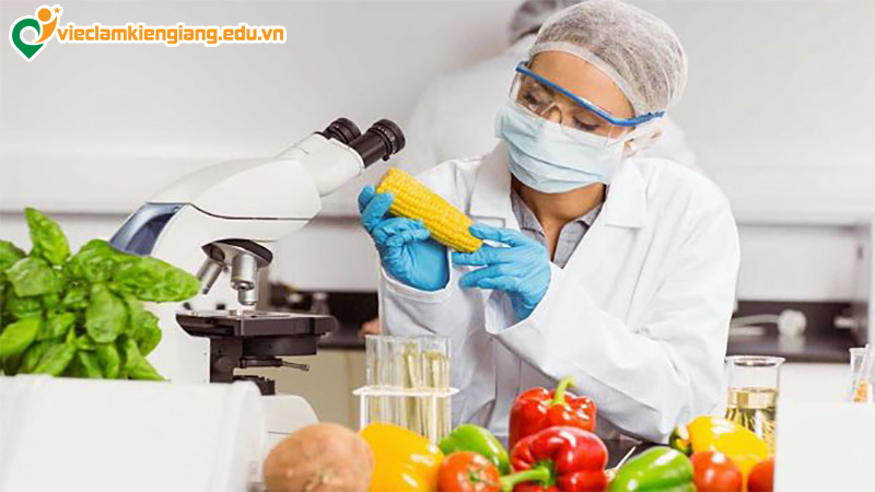 Kỹ sư công nghệ thực phẩm là gì